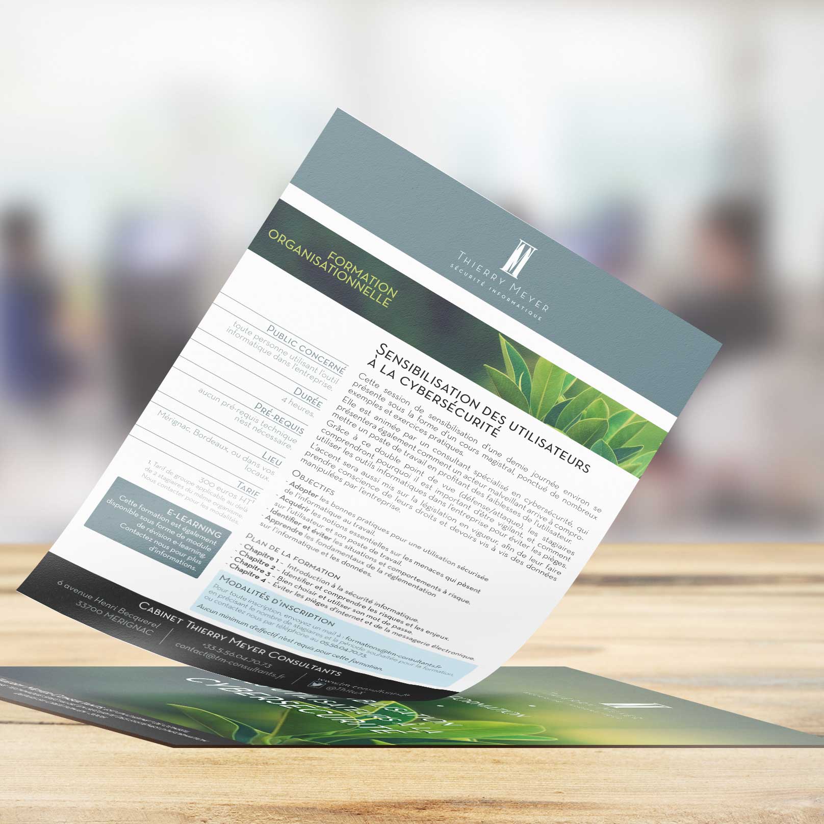 mockup-flyer-thierry-meyer-consultant-couleur